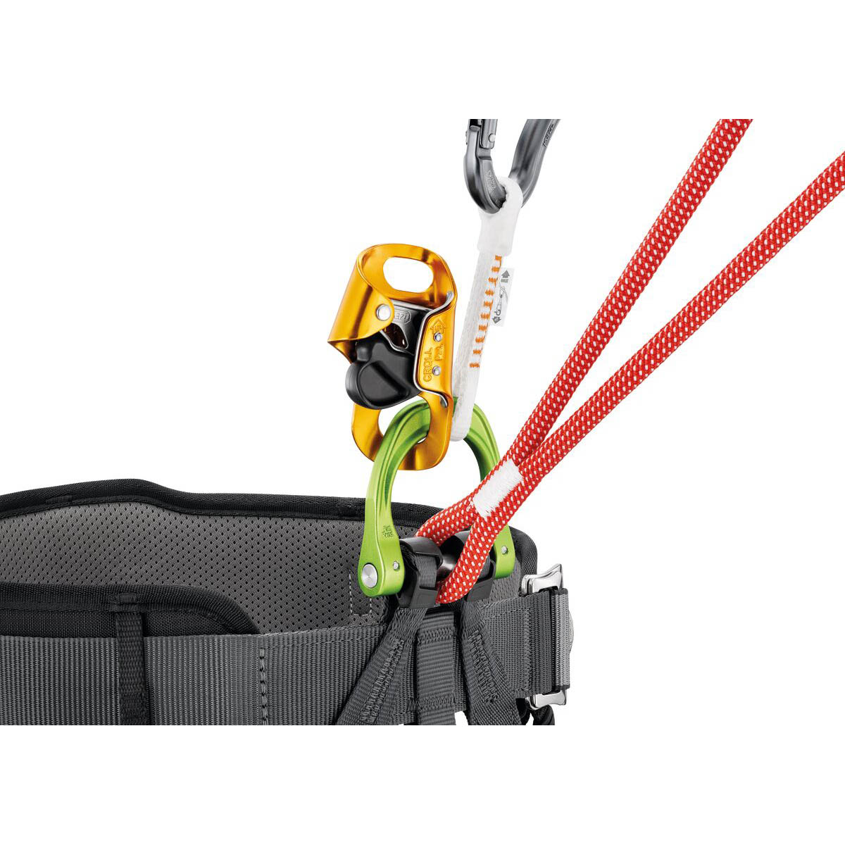 Petzl Canyon Guide Harness